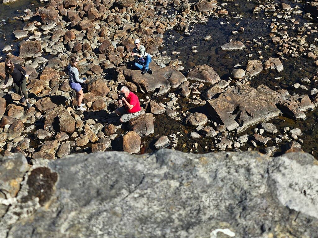 Vertical photo