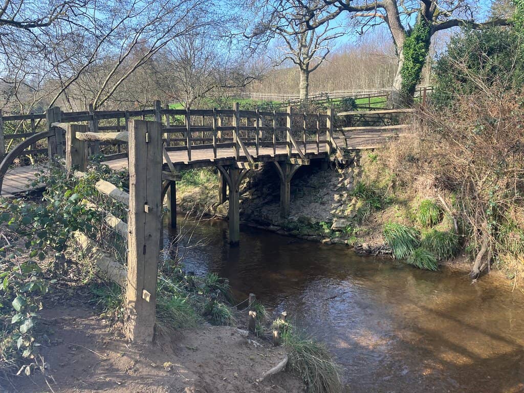 The 100 Acre Wood Trails