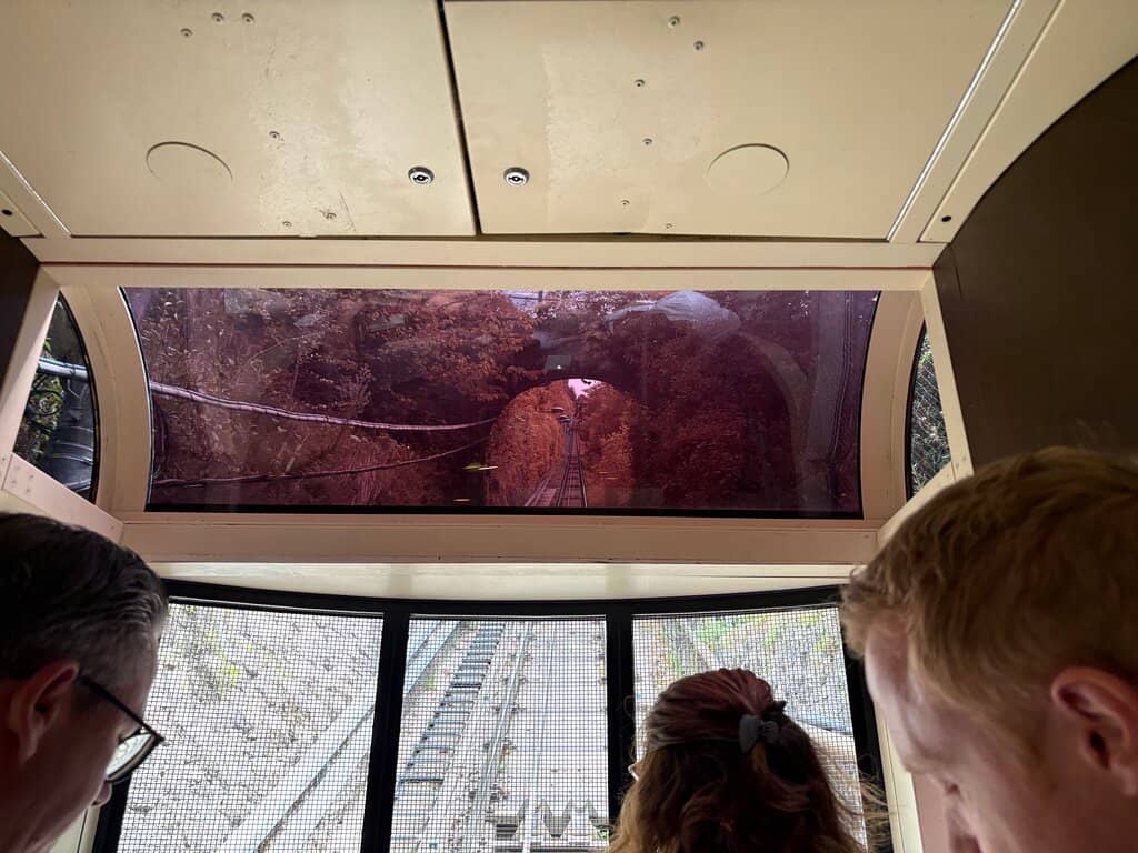 Vertical photo