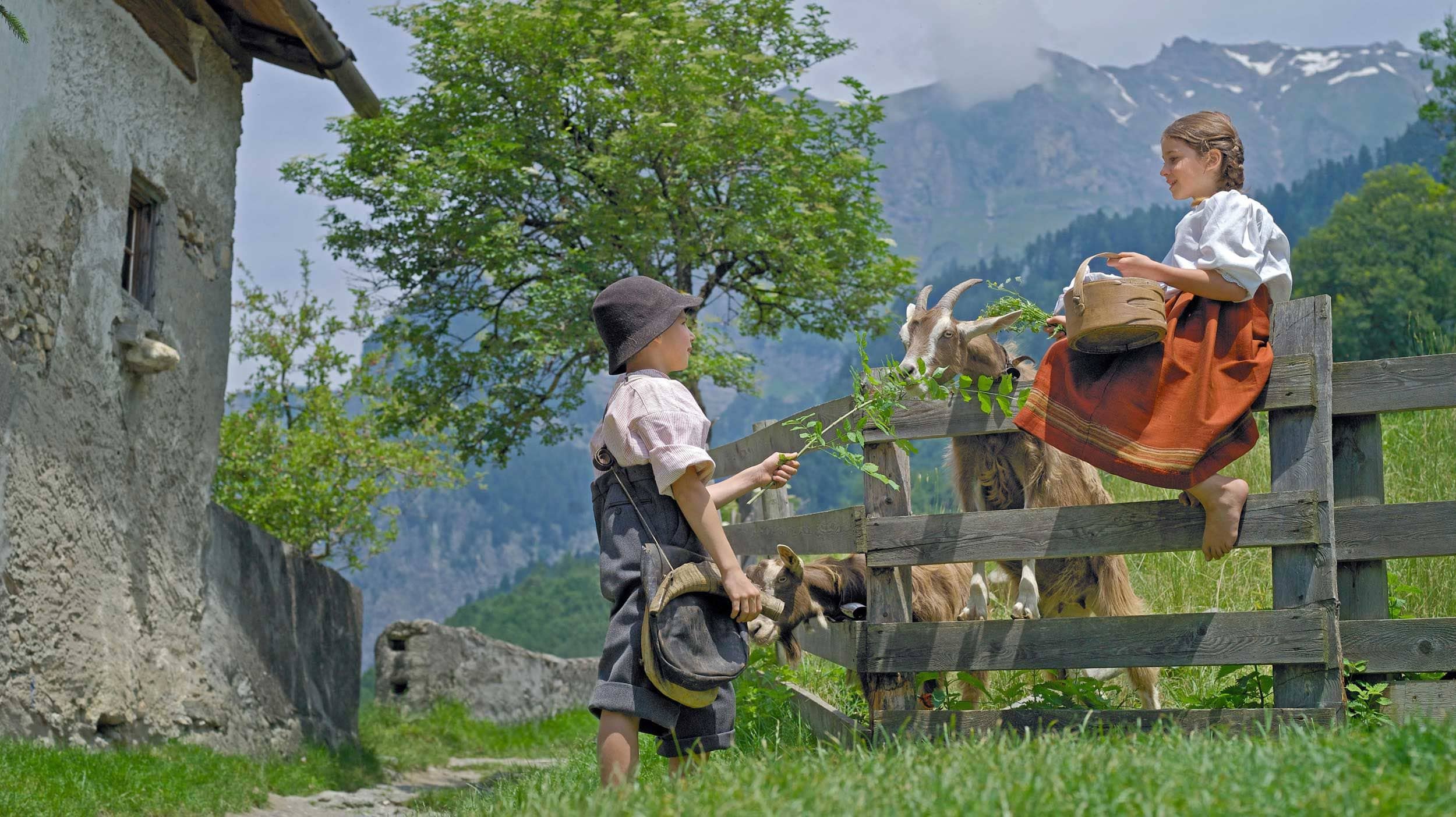 The Heidi Trail