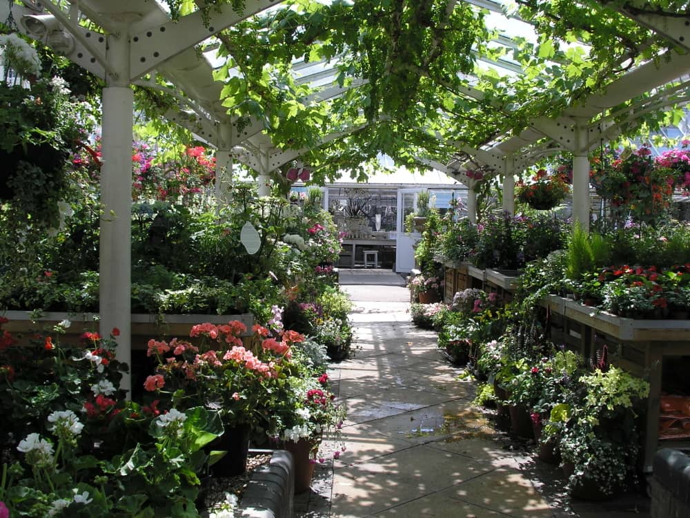 Clifton Nurseries