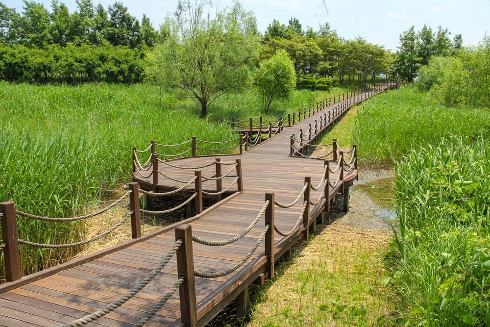 Eulsukdo Park Proximity