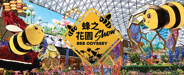 Bee Odyssey Show