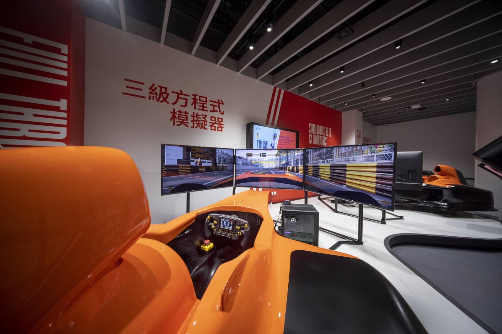 Race Simulator Experience