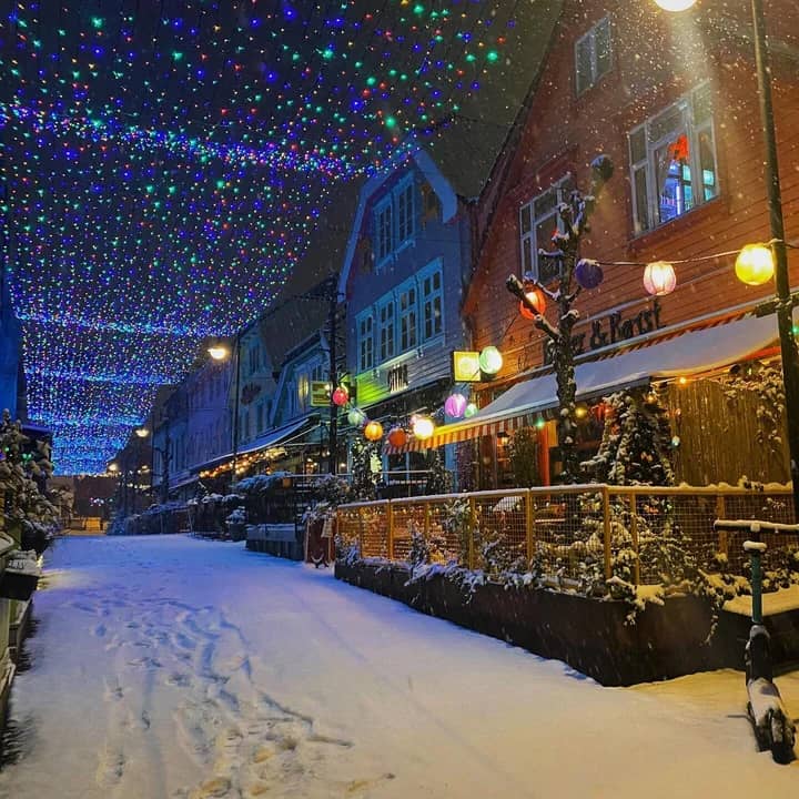 Seasonal Light Displays