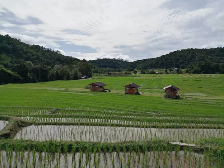 Local Coffee Culture