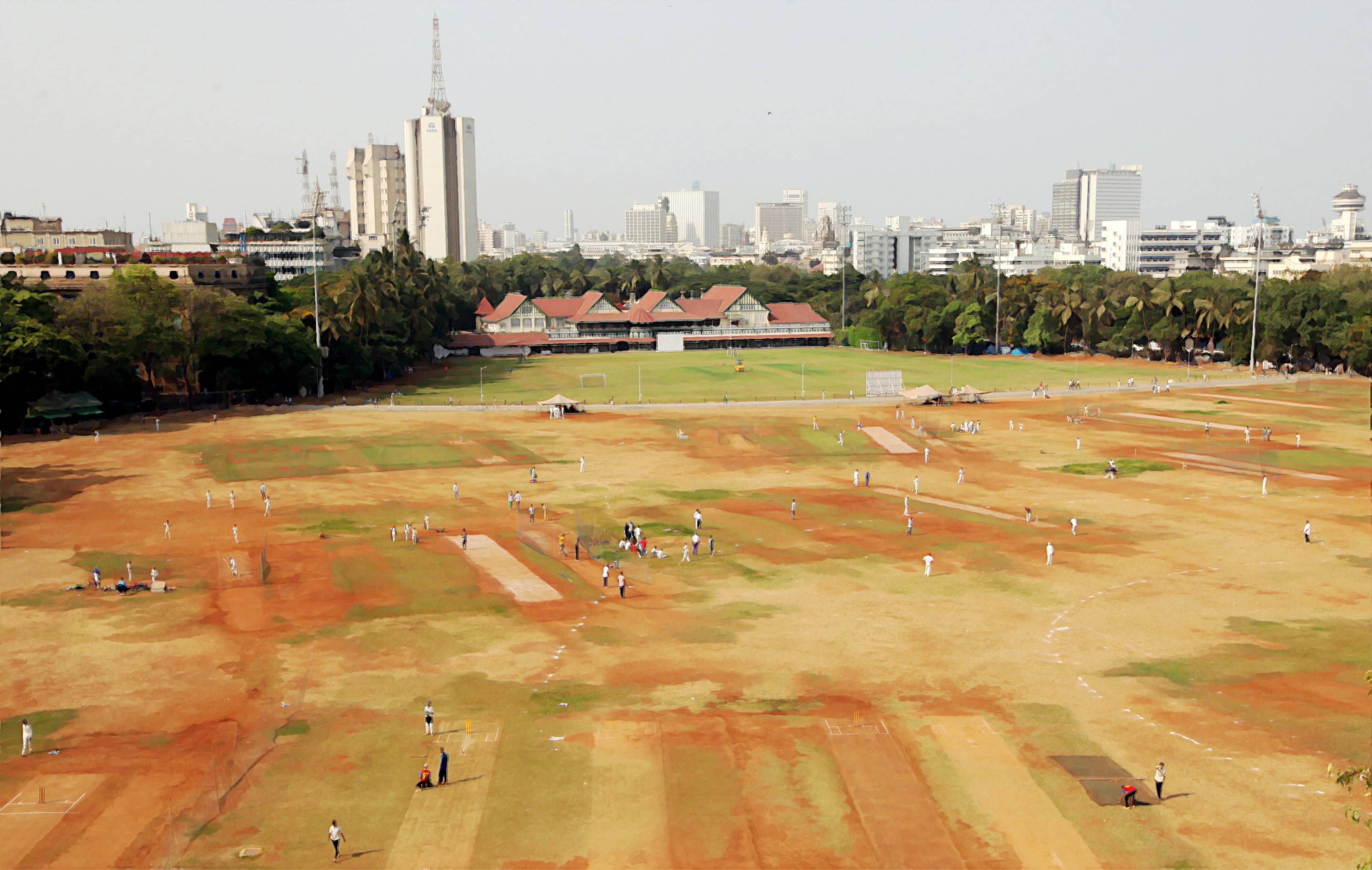 Cricket Matches Galore