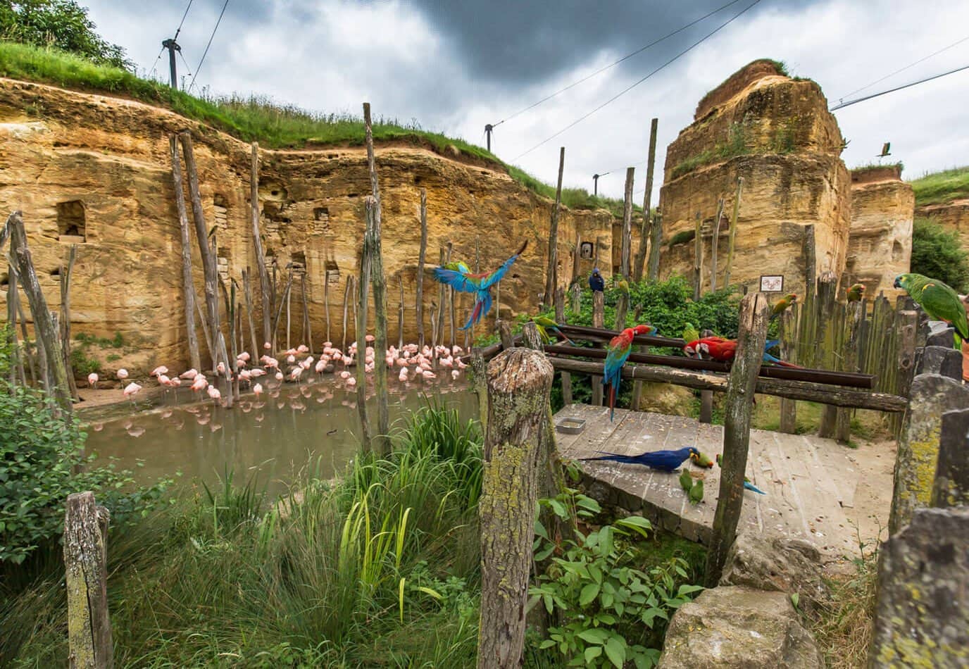 Prehistoric Quarry Habitats