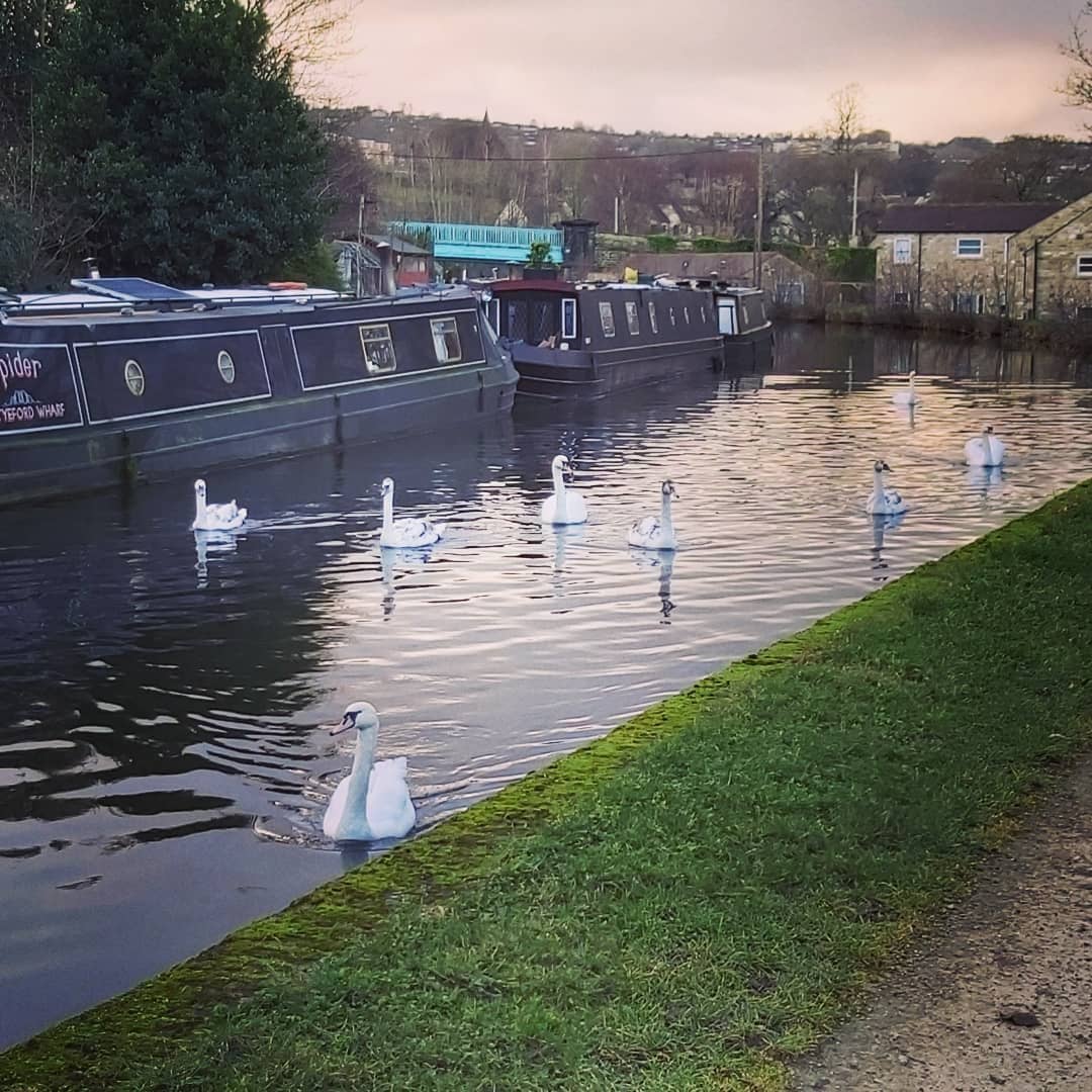 Scenic Canal Walks