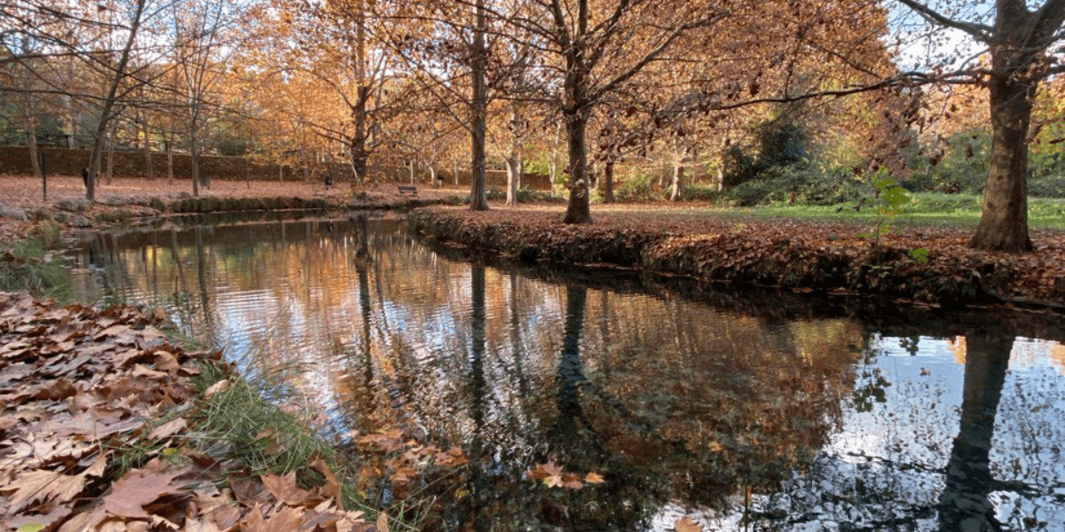 Fuentes del Marqués