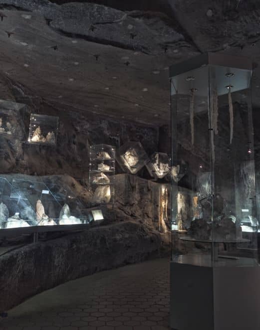 Temporary Art Exhibitions