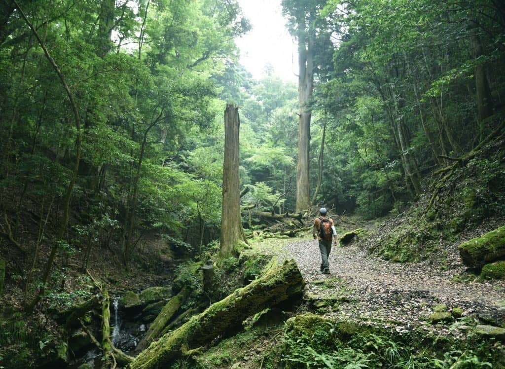 The Old Yagyu Kaido Path