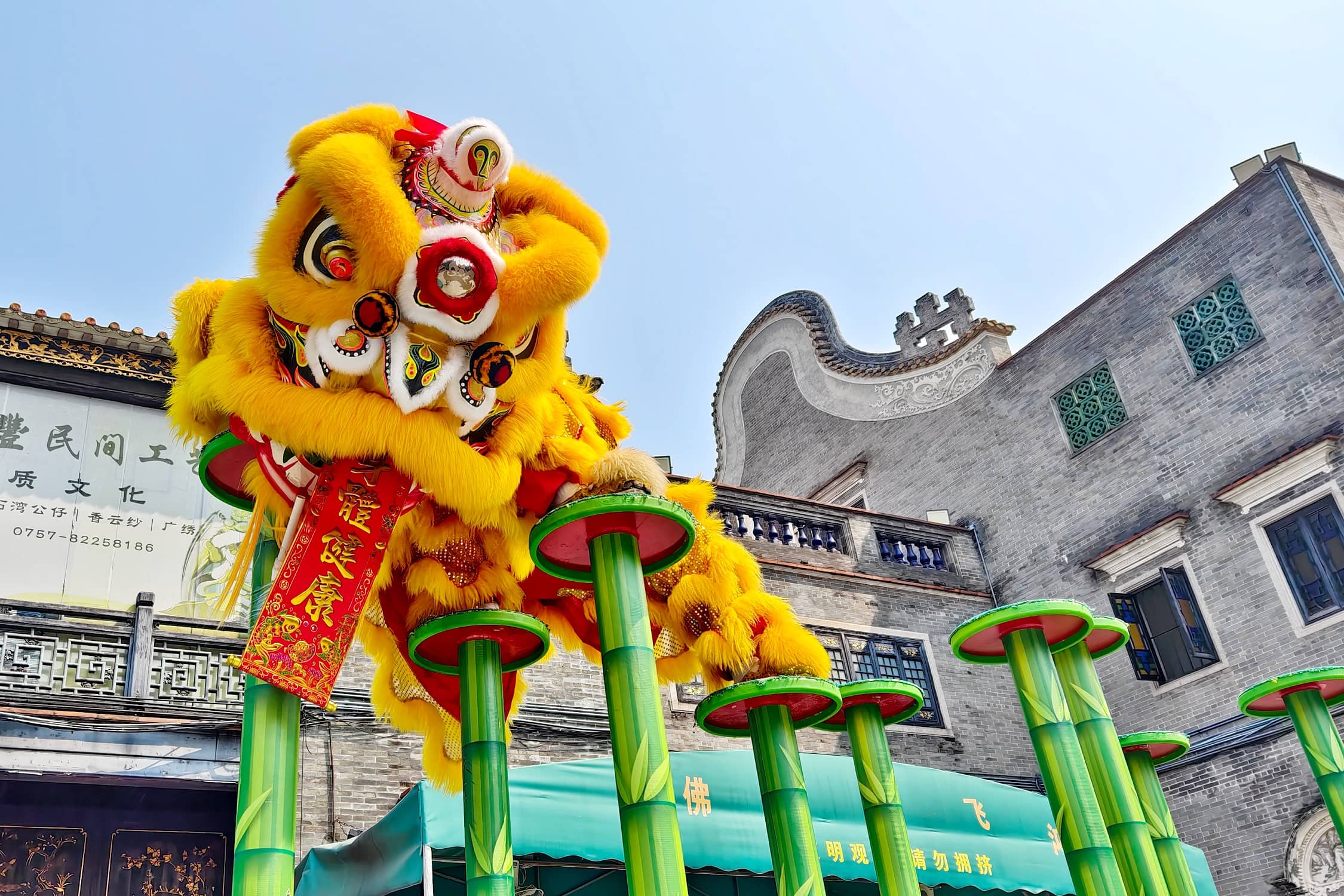 Lion Dance Performances