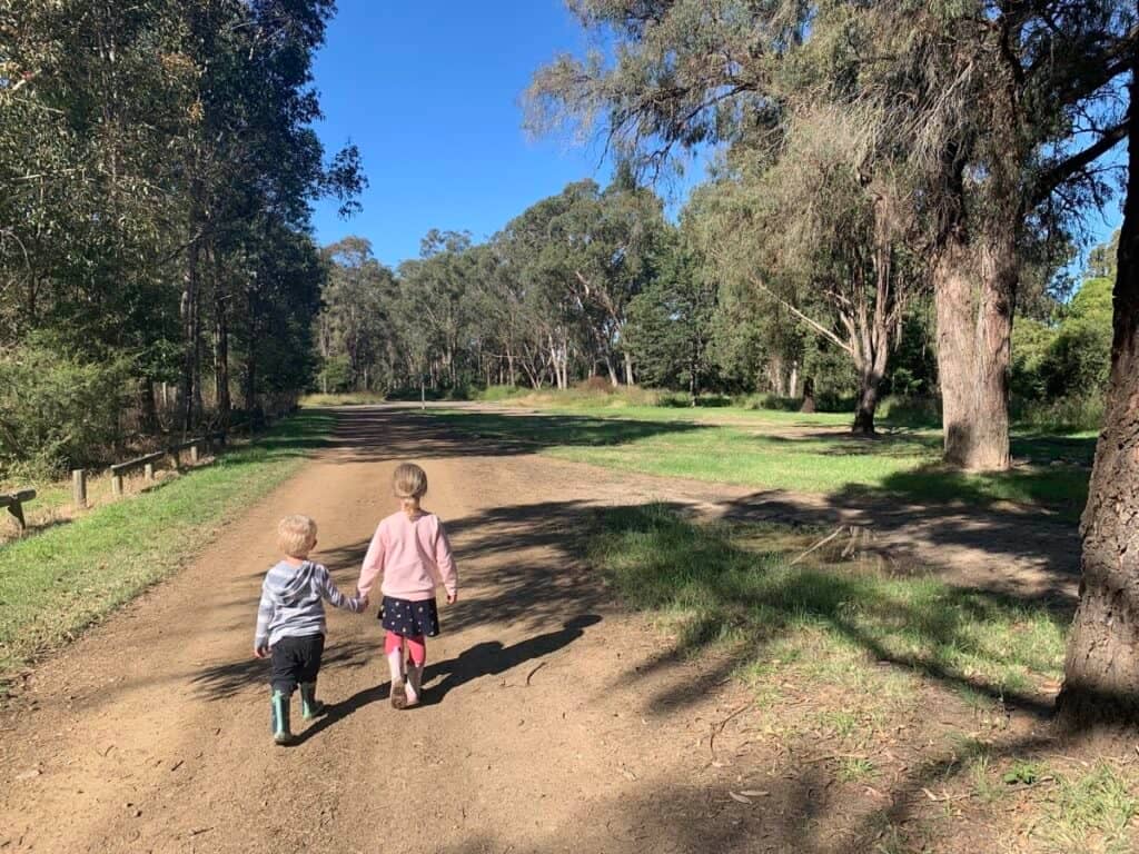 Scenic Walking Trails