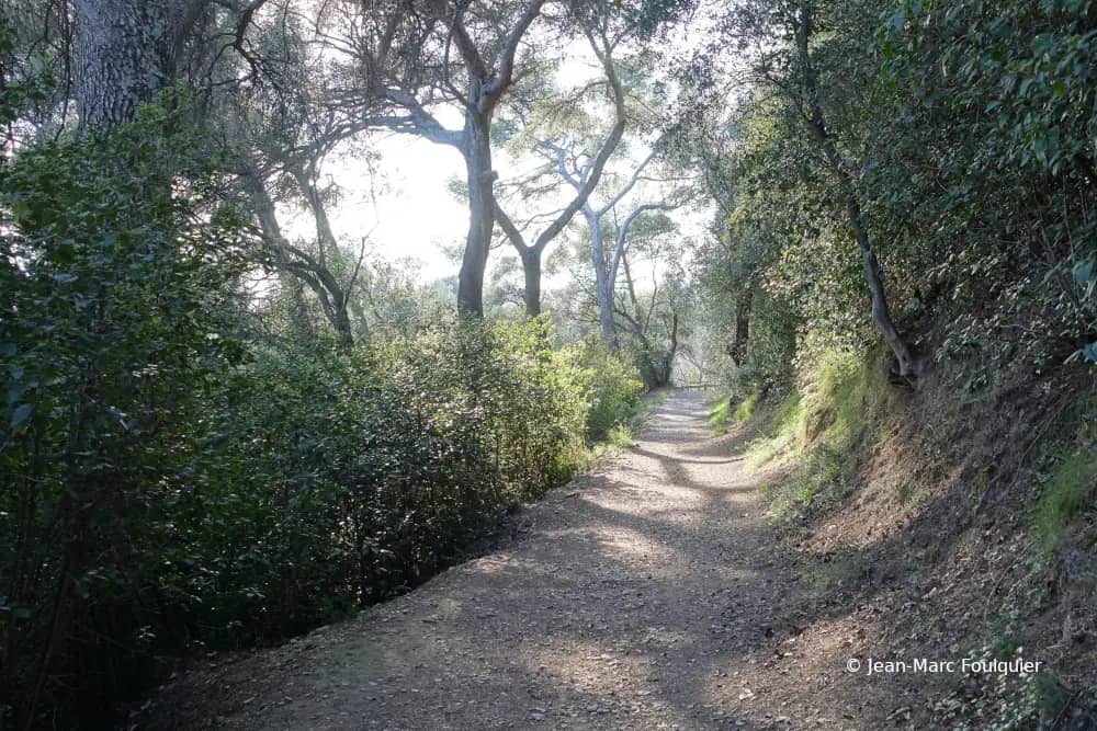 Tranquil Walking Trails