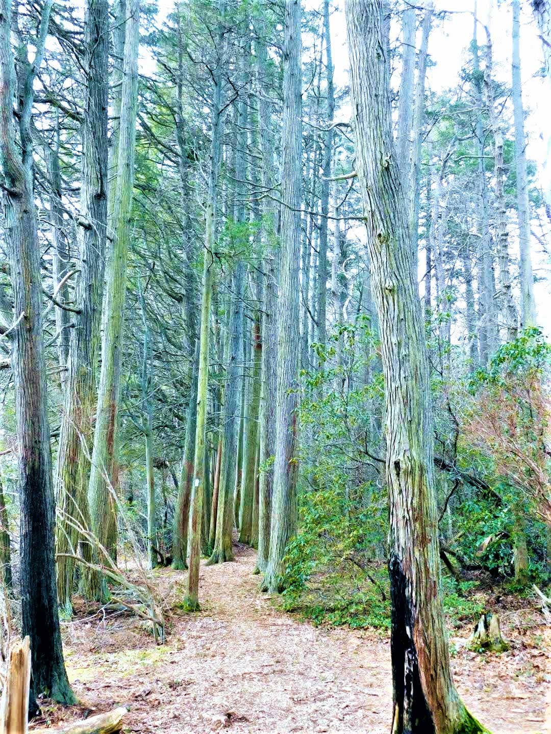 Challenging Ascent Sections