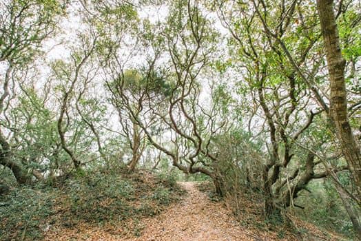 High Publicly Accessible Dunes