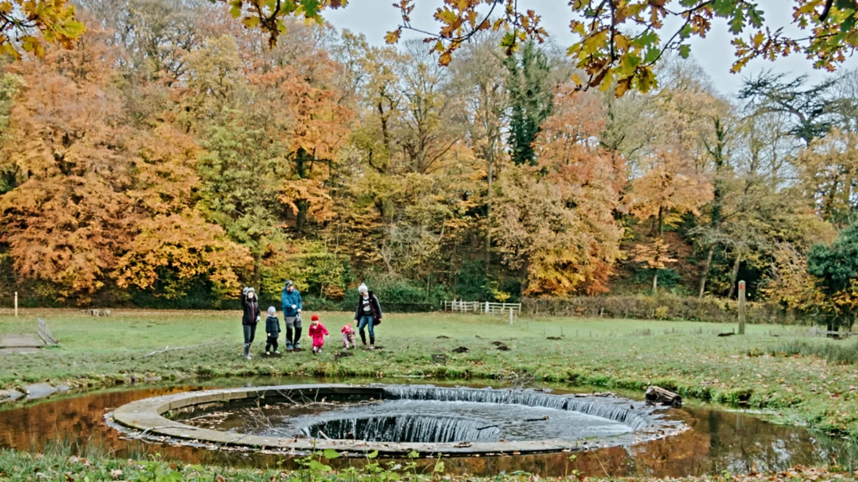 Ancient Woodlands & Dog-Friendly Walks