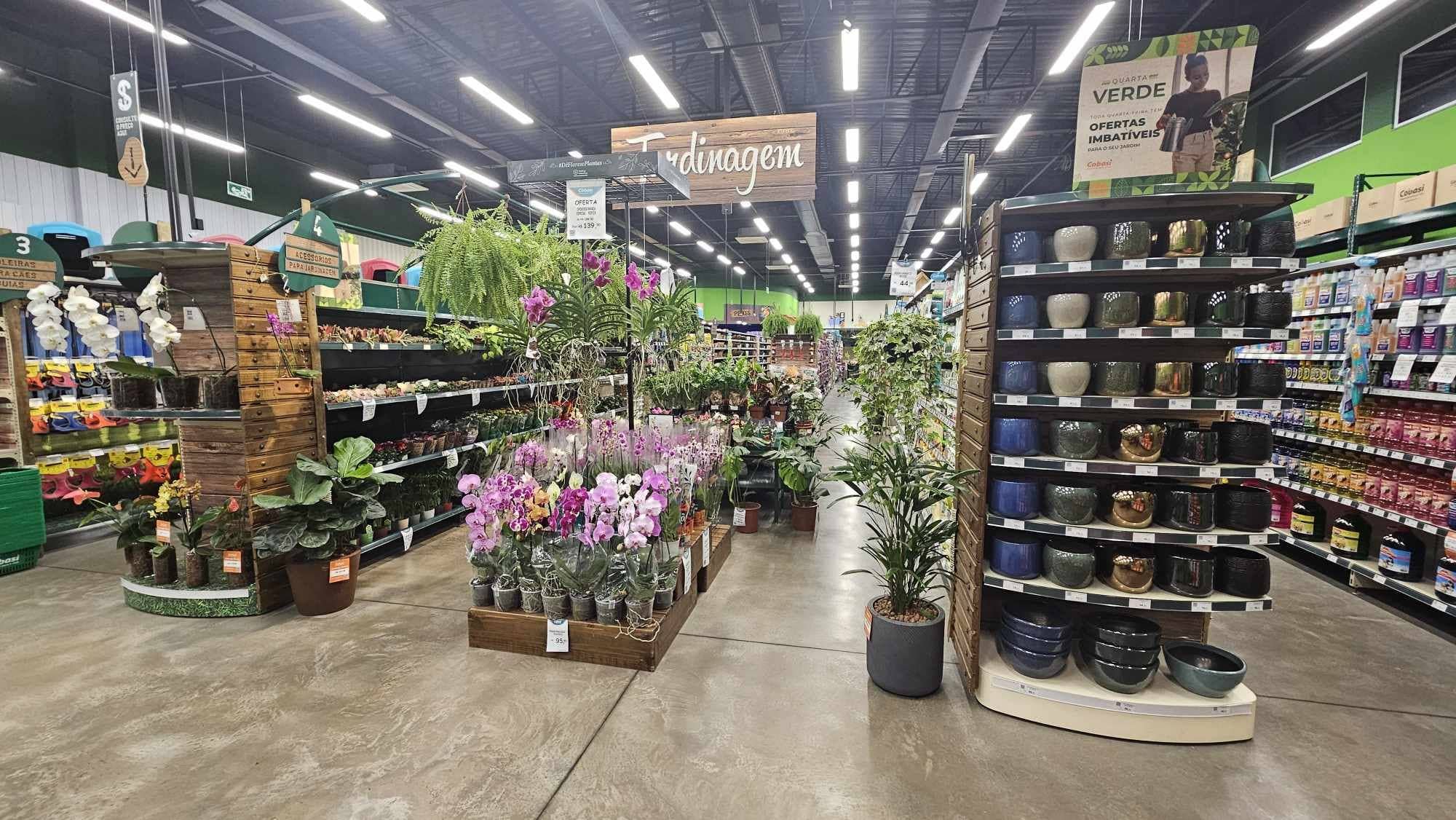 Beautiful Flower Section