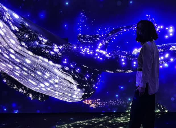 Arctic and Antarctic