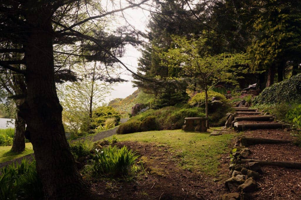 Views of Arthur's Seat