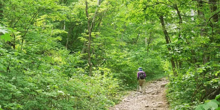 Varied Hiking Trails