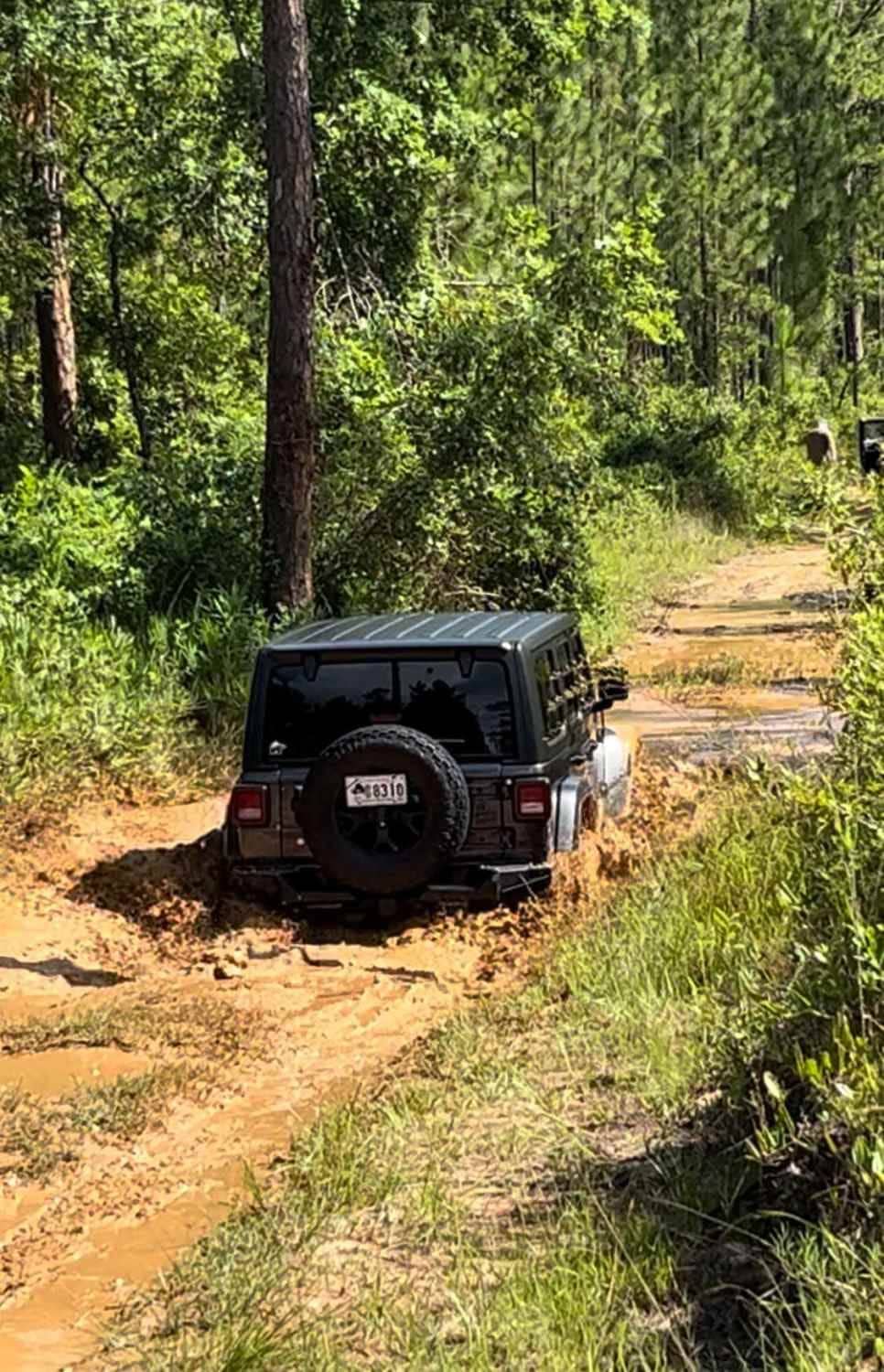 Jeep Trails