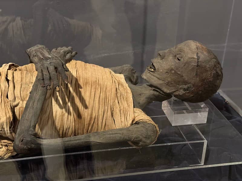 Curious Artifacts and a Safe