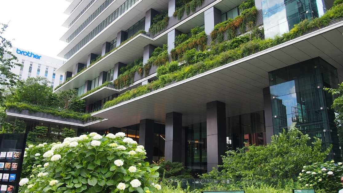 Greenery and Water Features