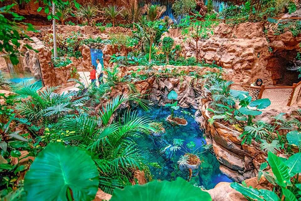 Jungle Zone