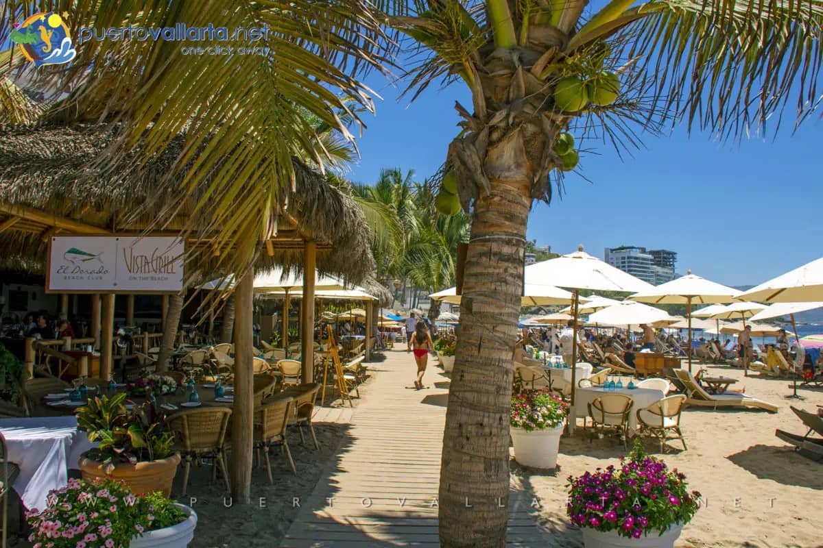 Vibrant Beachfront