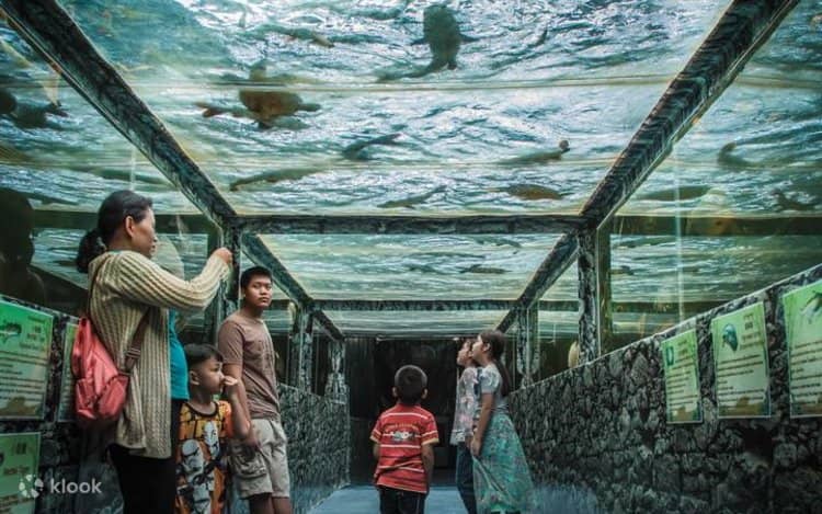 Reptile House Encounters