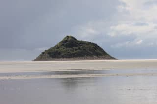 Birdwatching Paradise