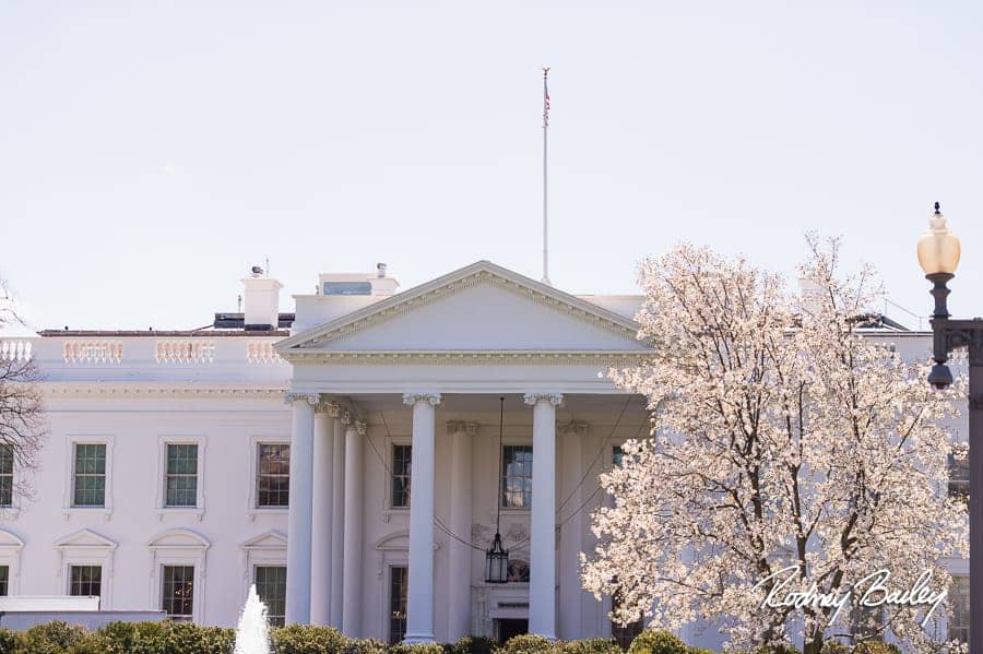 Lafayette Square Views