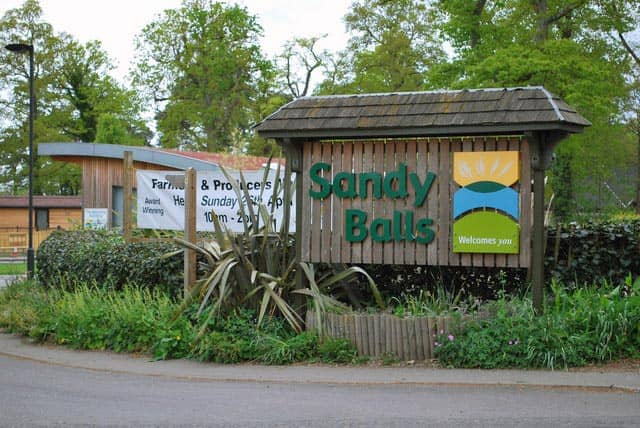 Woodland Trails & Quirky Finds