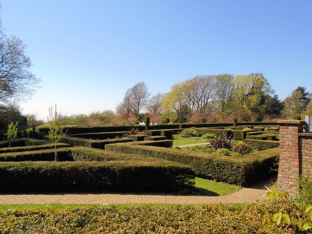 The Maze