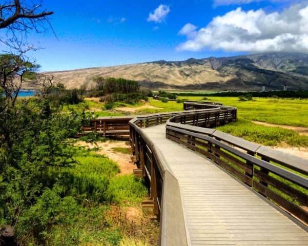 Boardwalk Nature Trail