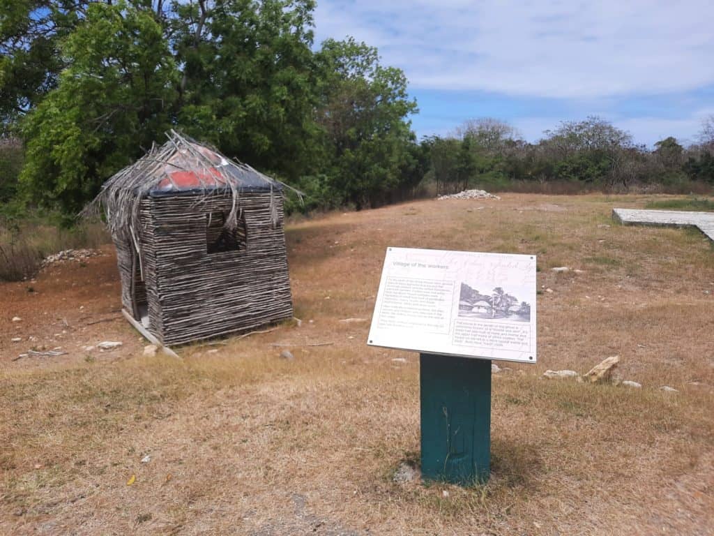 Educational Plaques and Artifacts
