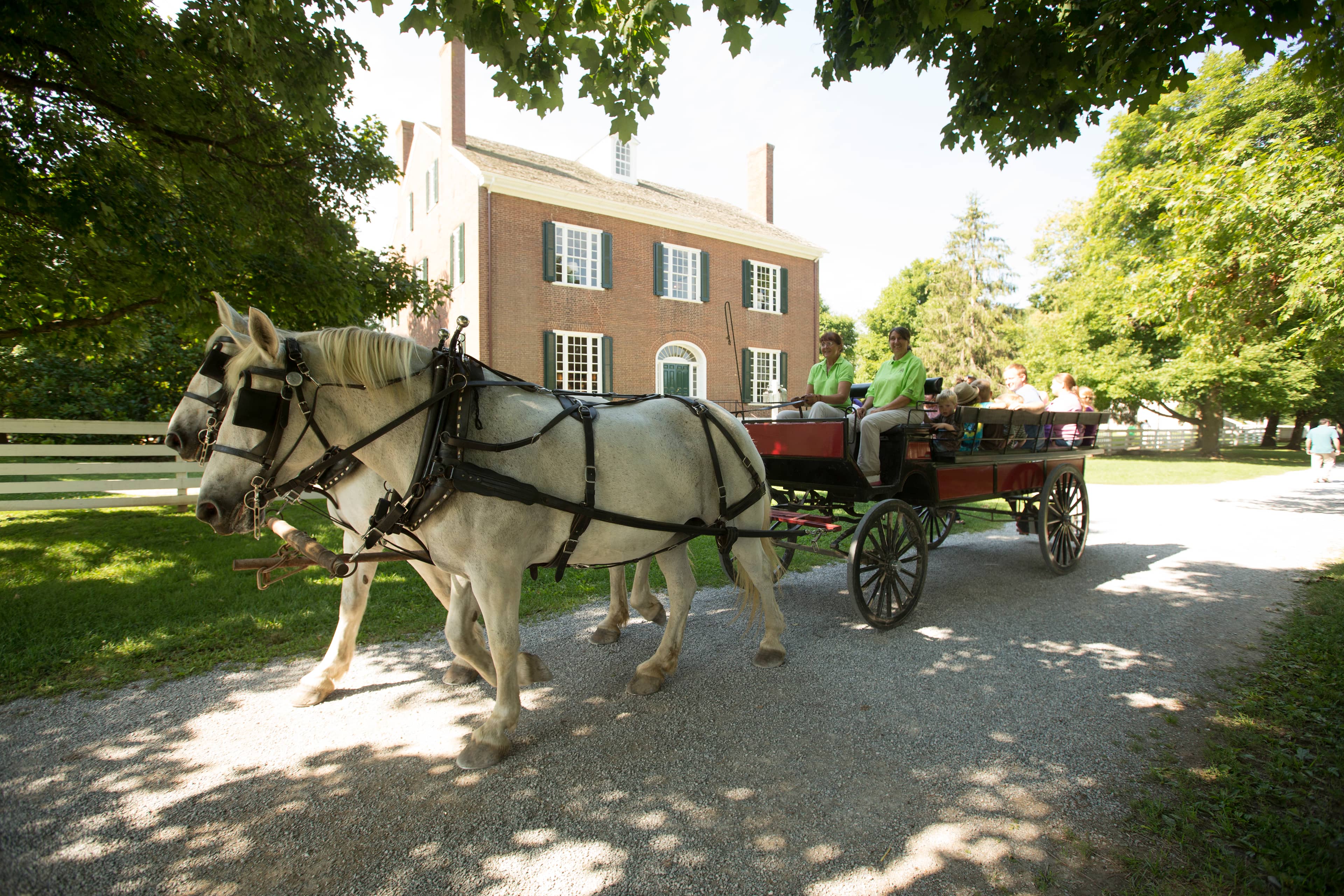 Carriage Rides