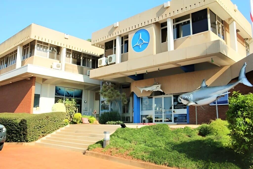 Natal Sharks Board