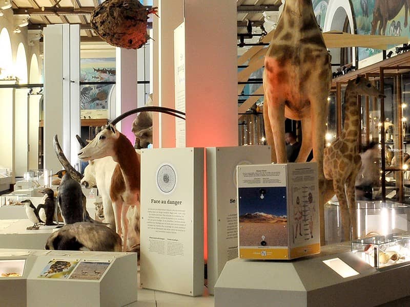 Natural History Museum