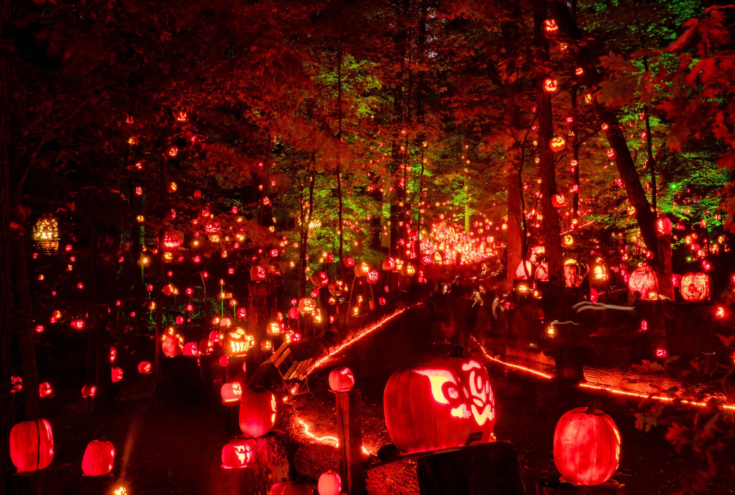 Seasonal Events & Movies