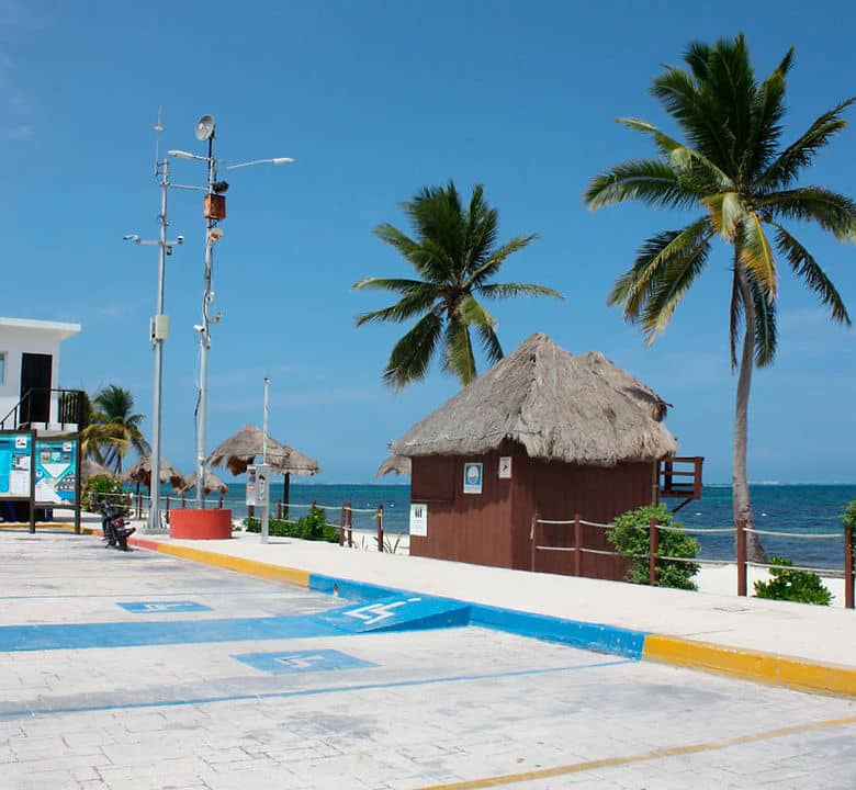 Highlights