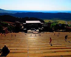 Delicious Bison Burgers