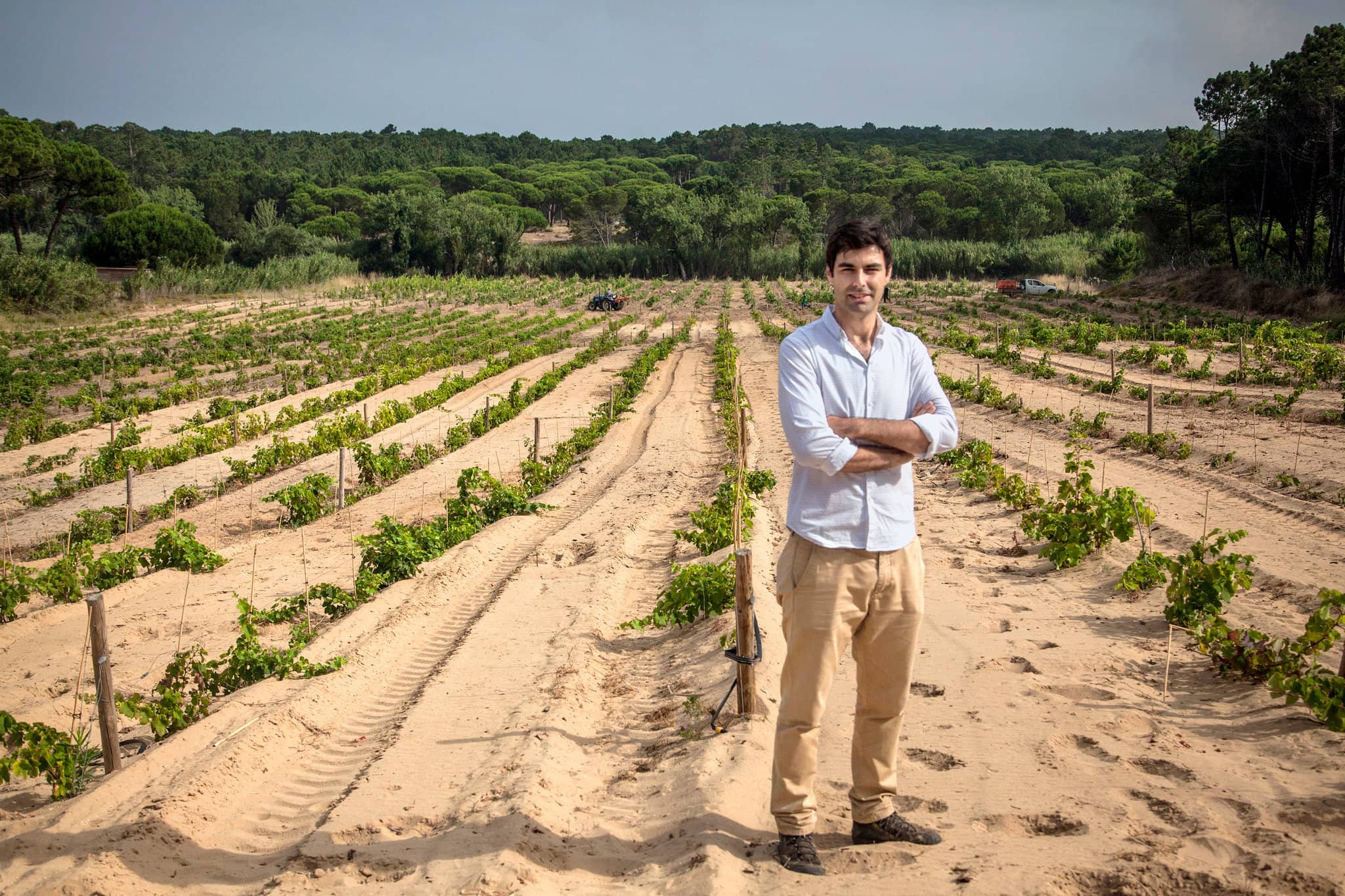 Ramisco Grape Varietal