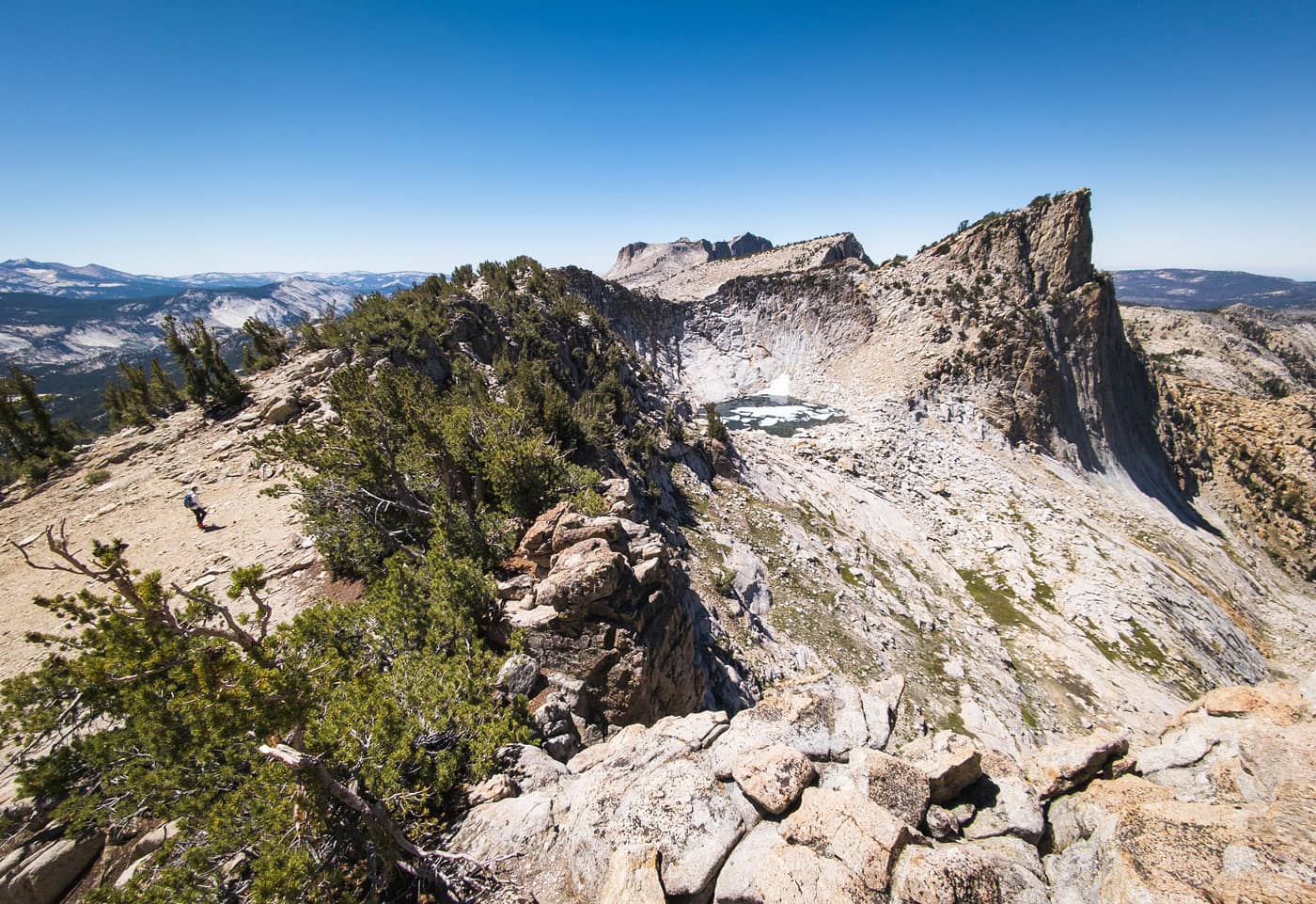 Alpine Meadow Scramble