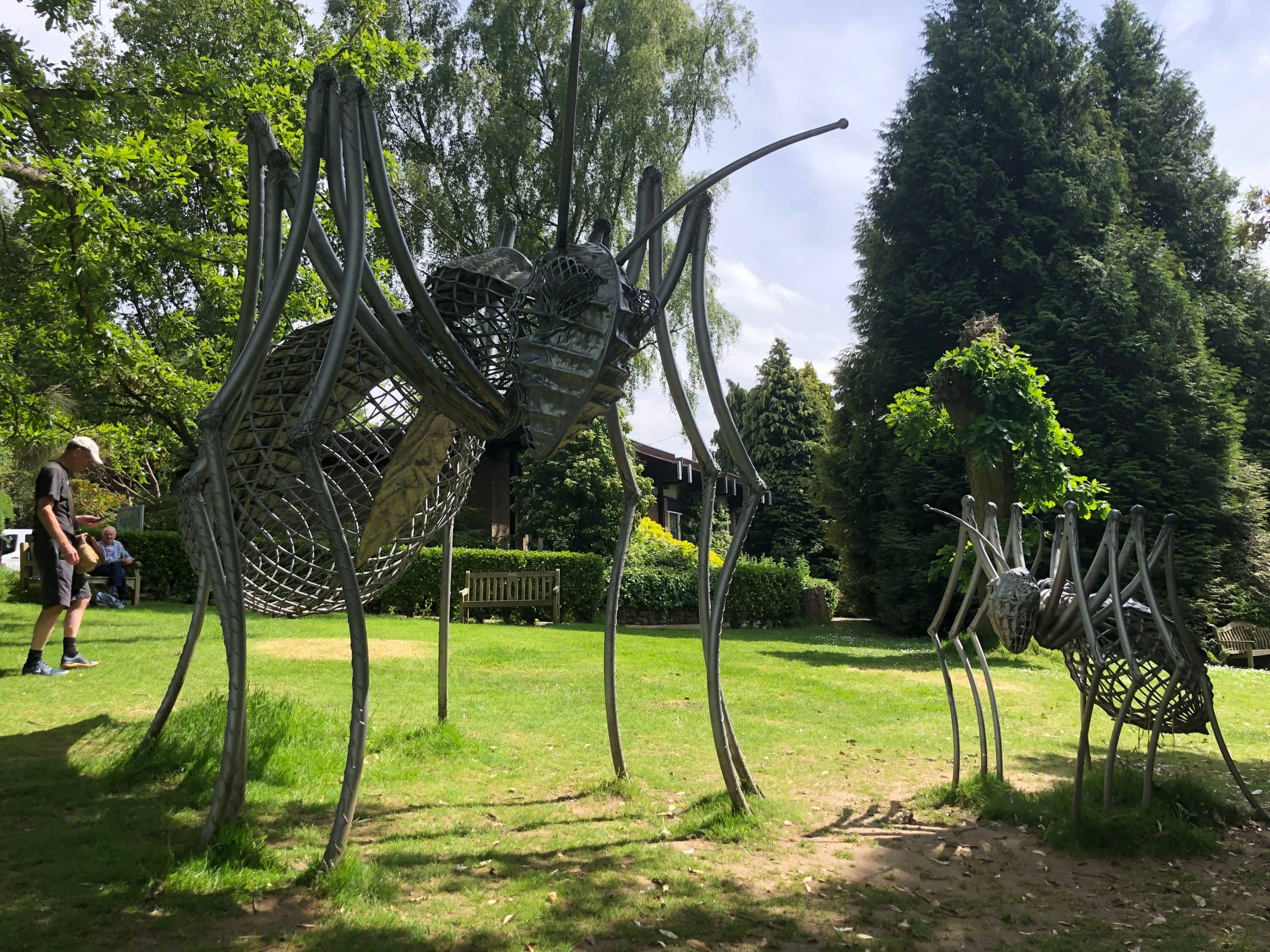 Sculpture Trails