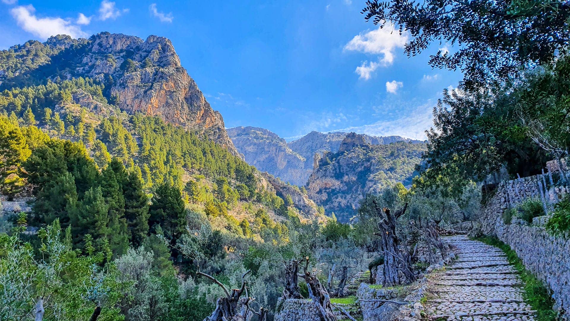 Barranc de Biniaraix Hike