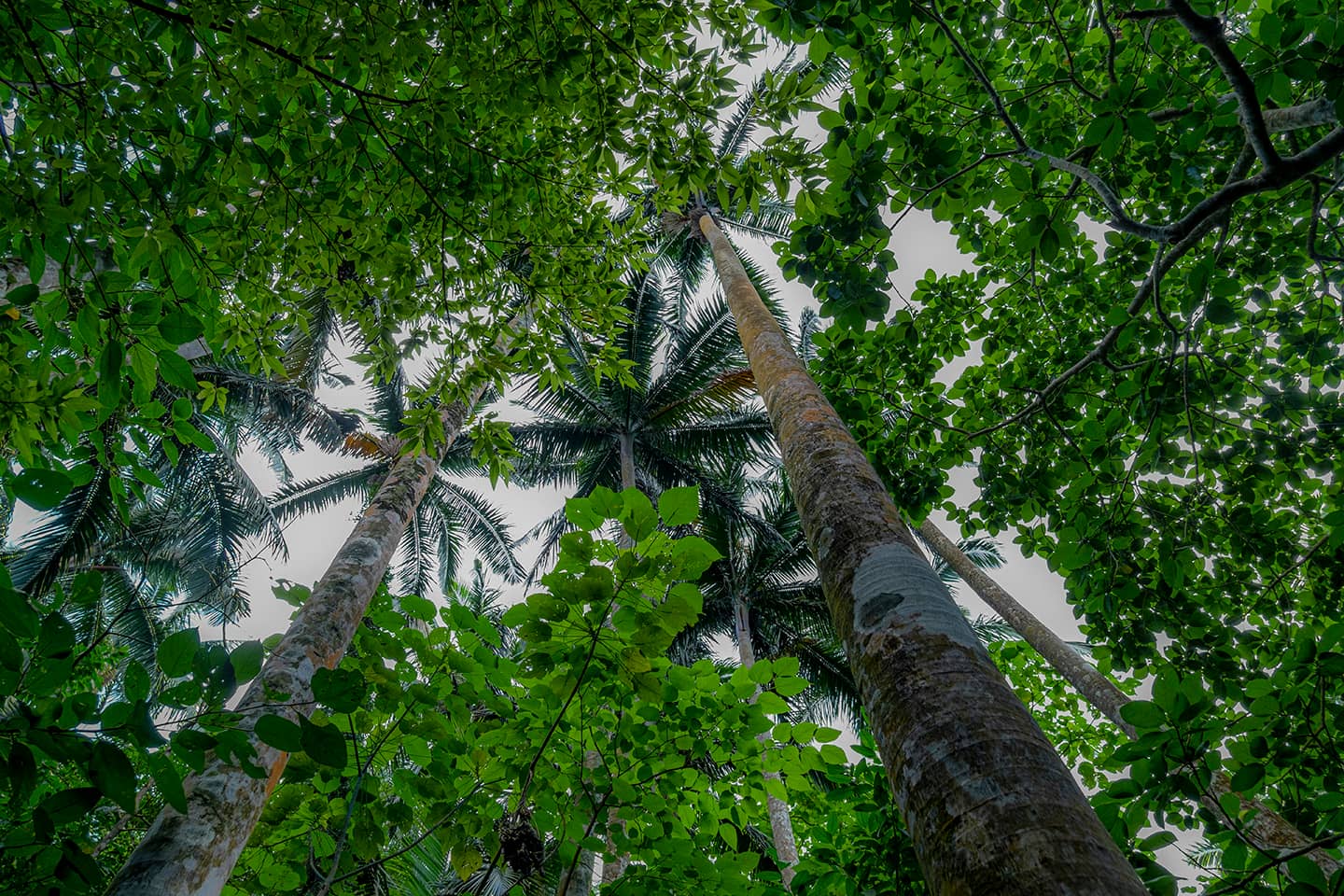 National Natural Monument