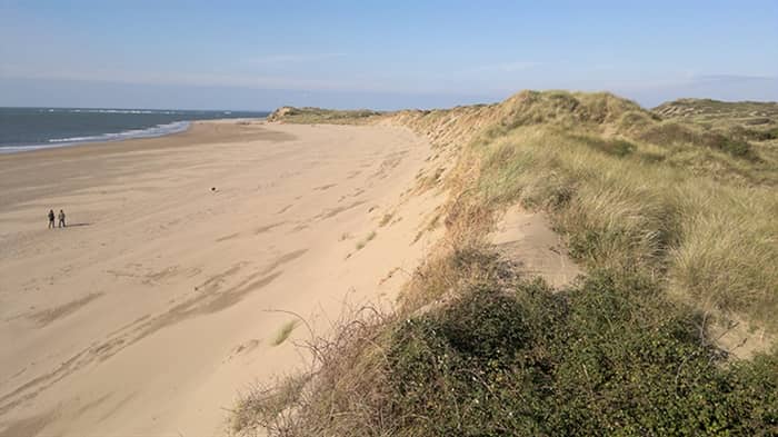 Iconic Dunes